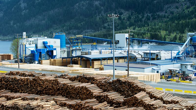 Why Portuguese Firewood Is in High Demand Across Europe