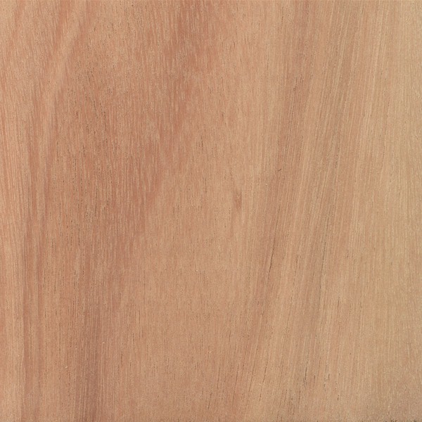 Eucalyptus Lumber wholesale wood product Portugal