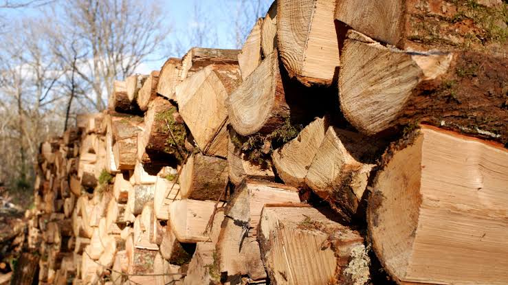 Firewood wholesale product from J P Vieira de Andrade, Portugal
