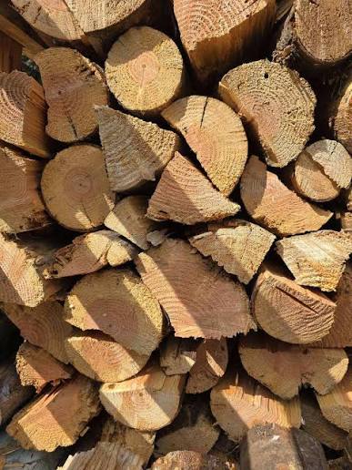 Firewood wholesale wood product Portugal
