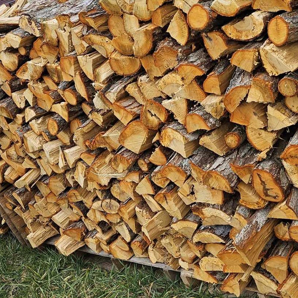 Exporting Firewood from Portugal to Spain, France & the Rest of Europe: A Wholesale Buyer's Guide