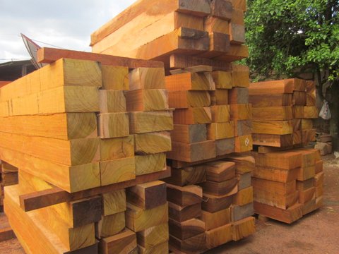 Sawn Timber & Roundwood photo 4