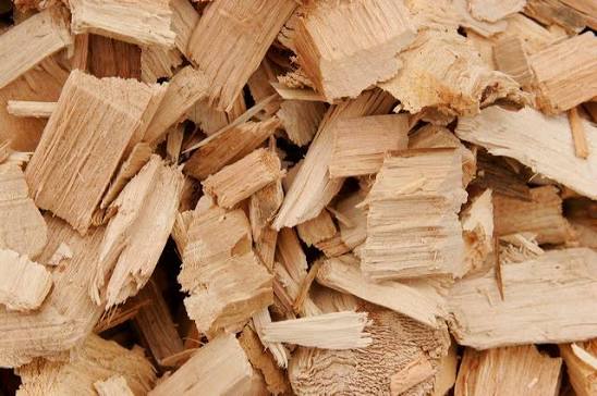 Wood Chips wholesale wood product Portugal