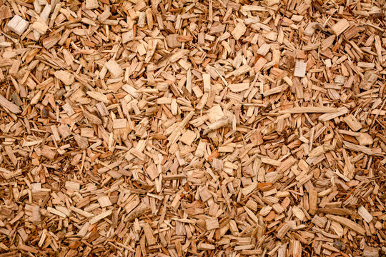 Wood Chips photo 3