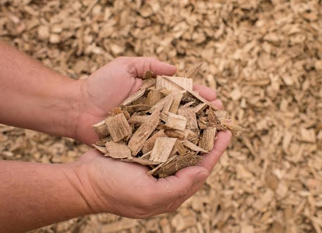 Wood Chips photo 4
