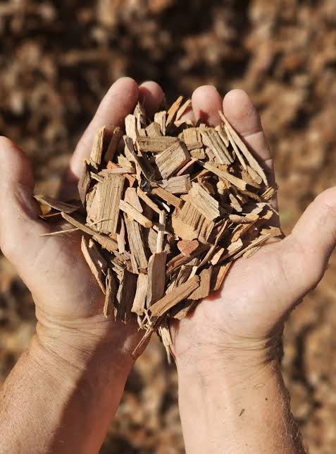 Wood Chips photo 5