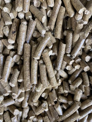 Wood Pellets Export from Portugal: Supplying European Heating Markets